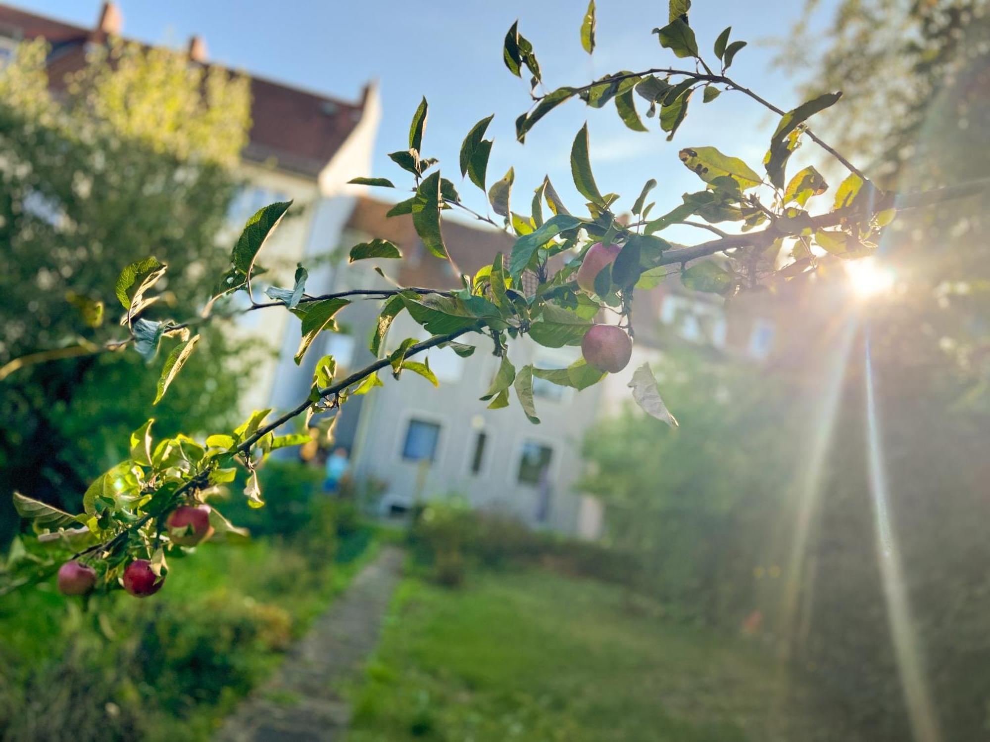 Immostay #7 -Helle Wohnung Mit Grossem Garten -4 Zimmer, Wifi & Free Parking Bremen Luaran gambar